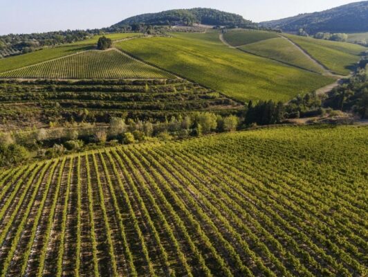 An Evening with Marchesi Antinori