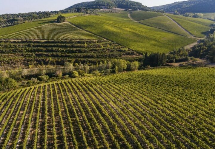 An Evening with Marchesi Antinori