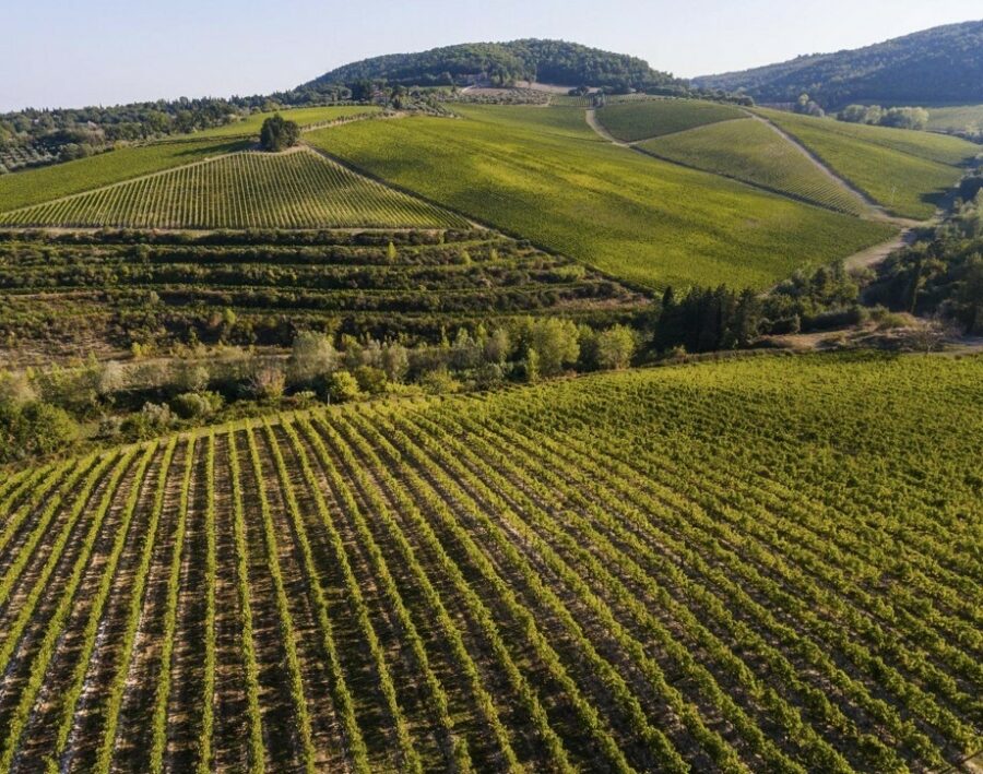 An Evening with Marchesi Antinori